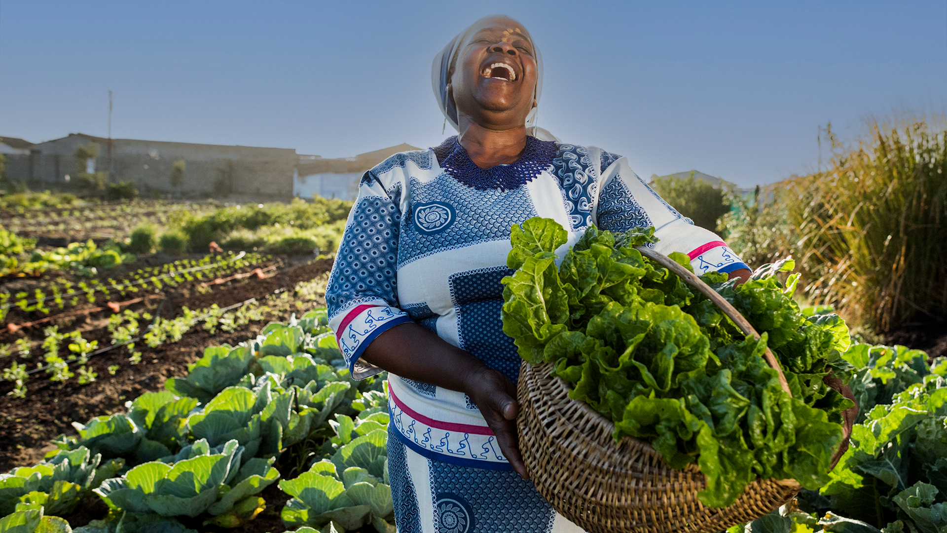Sustainable agriculture philanthropy and food security innovation